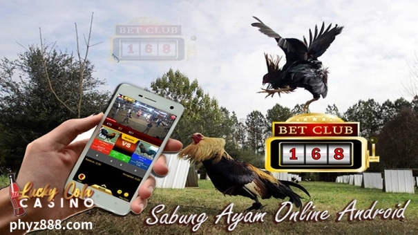 Blog 2 Sabong Live 168 has transformed the traditional sport of cockfighting into a modern digital experience, attracting over 75% of enthusiasts who now prefer online platforms.